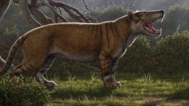 Arctodus Simus vs Simbakubwa 2022 смотреть онлайн