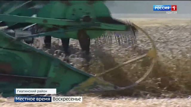 Завершилась Всероссийская выставка "Золотая осень 2021" смотреть онлайн