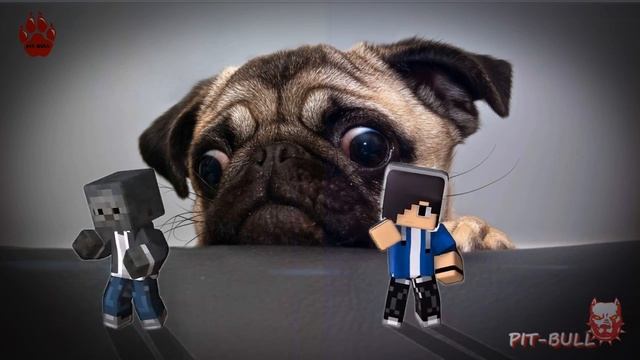 Best dance battles Monster Mix смотреть онлайн