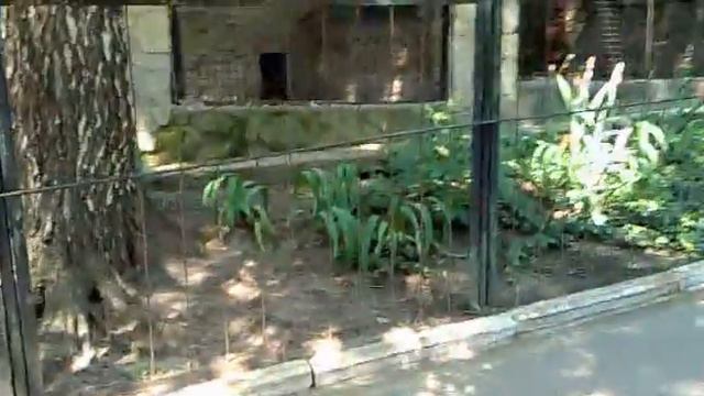 Скакевич Дэниил и Элла 2 смотреть онлайн