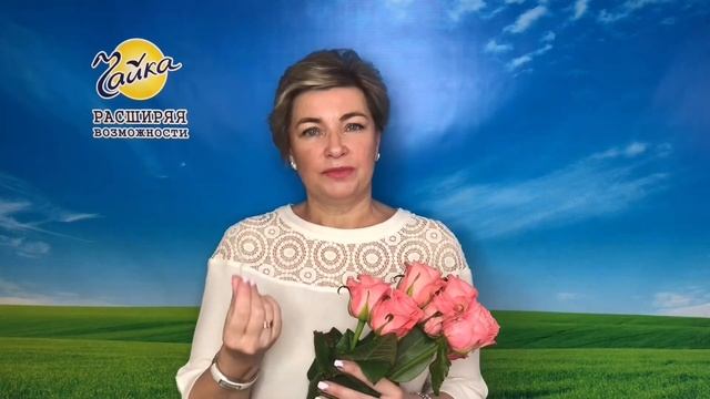 Как построена программа смотреть онлайн