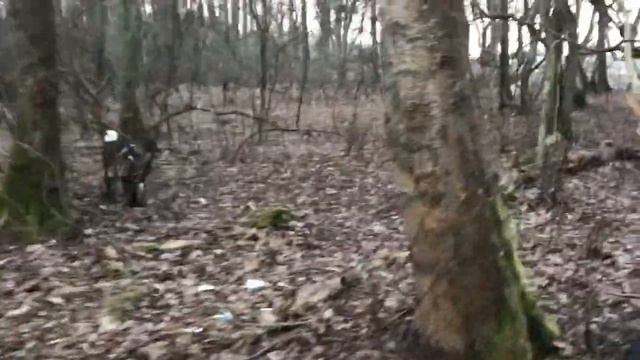 Свободная Акита смотреть онлайн