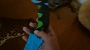 Поделки из 3D ручки