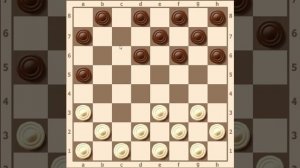 ДЕБЮТ: НОВОЕ НАЧАЛО | ШАШКИ