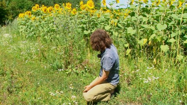 Спорыш - близок, да не достанешь ... смотреть онлайн