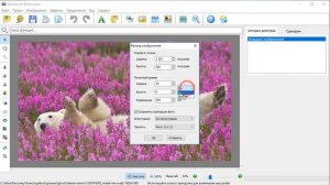 Как уменьшить фотографию до нужного размера