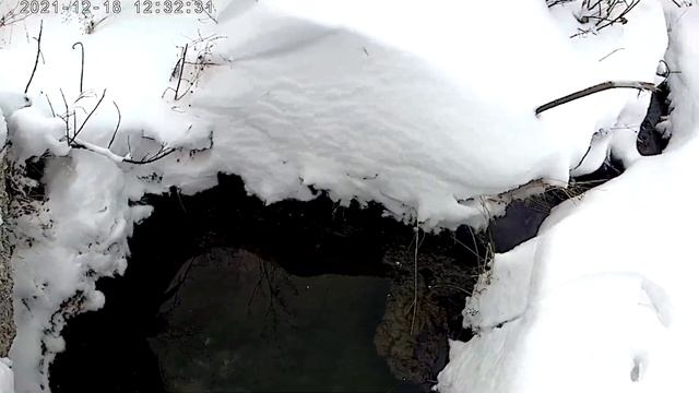 У РОДника !) 18 12 2021 / 7530 лета от СМЗХ ! смотреть онлайн