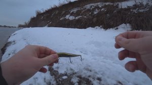 В поисках ночного судака на нижней Москва-реке