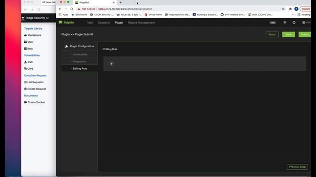 Create a Customized Plugin for RidgeBot смотреть онлайн