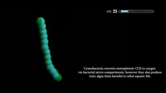 Cyanobacteria x Skyrim смотреть онлайн