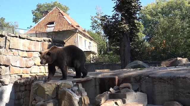 Калининград Правдинск Луговое Сентябрь 2014 смотреть онлайн