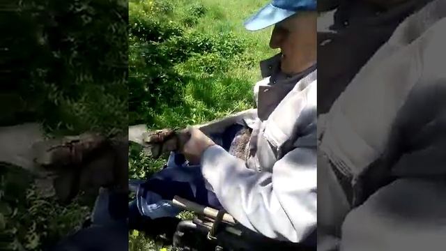 Долгожители косят сенокос смотреть онлайн