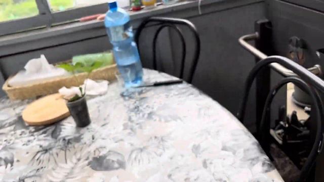 КАК СПАСТИ ПЕКИНСКУЮ КАПУСТУ👩🌾🤨 смотреть онлайн
