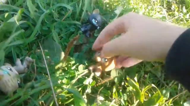 Lps Сериал:Выживание а Джунглях(Выживание в лесу)