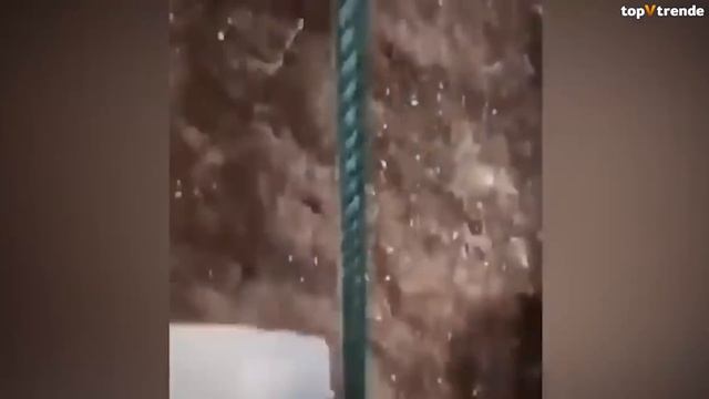 Если бы Этот Случай не Сняли на Камеру, Никто бы Не Поверил. Топ 10