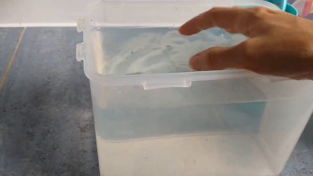 Как правильно поливать орхидею, когда надо поливать орхидею смотреть онлайн