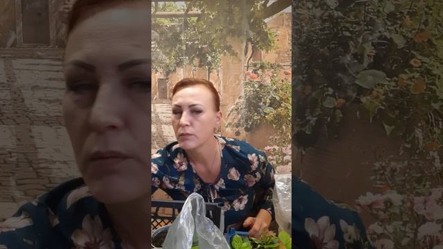 Как я буду сохранять крупнолистную гортензию дома. смотреть онлайн