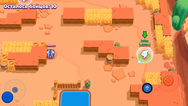 КУПИЛ СКИН ЛЕОН - АКУЛА! ЭТОТ СКИН ХОЧЕТ КАЖДЫЙ! BRAWL STARS смотреть онлайн