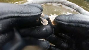 Подводный поиск золота на реке - Волге. Gold is good, или поиск золота металлоискателем под водой.