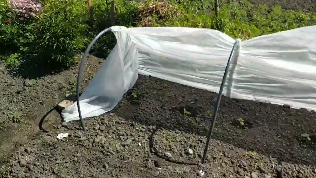 На Глазах Уничтожила.. смотреть онлайн