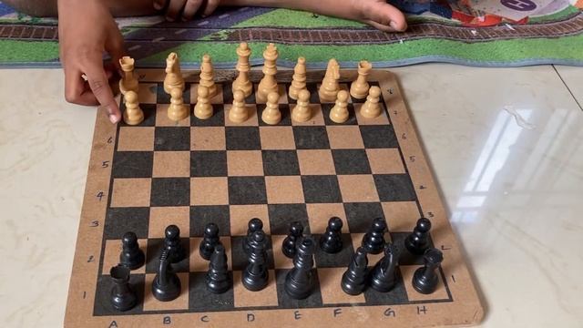 Learning Chess Game # Learn Chess Game Basics Board Setup And Moves смотреть онлайн