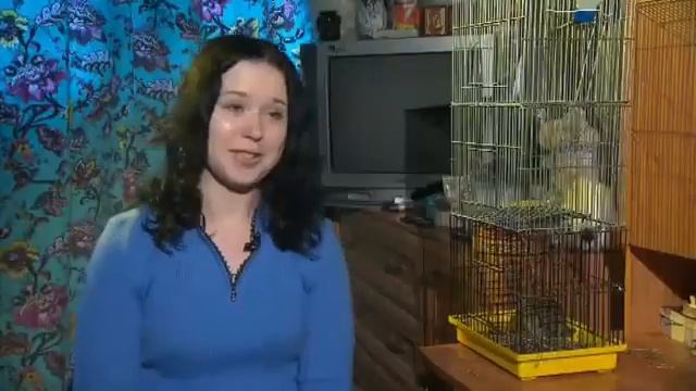 Дегу в домашних условиях: содержание и уход смотреть онлайн