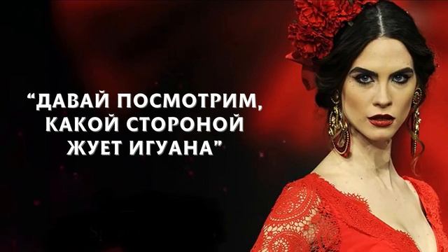 Невероятно Мудрые Испанские Пословицы и Поговорки | Их нужно слышать всем! | Пословицы, Поговорки смотреть онлайн