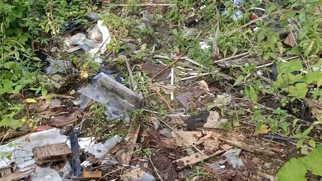 Купил заброшенную дачу мечты итоги после уборки старого мусора на бюджетной дачи смотреть онлайн