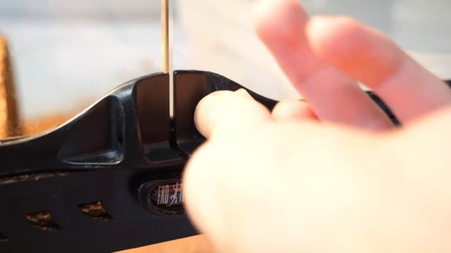 Do Pet Snakes Escape Easily? смотреть онлайн