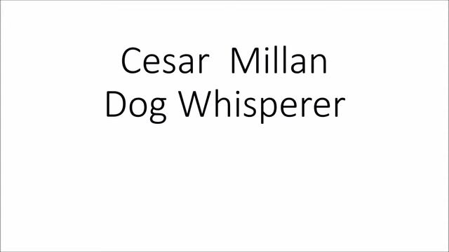 Cesar Millan Dog Whisperer смотреть онлайн