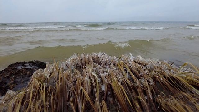 На каяке на остров Тань-Вань. 31 октября 2021 смотреть онлайн