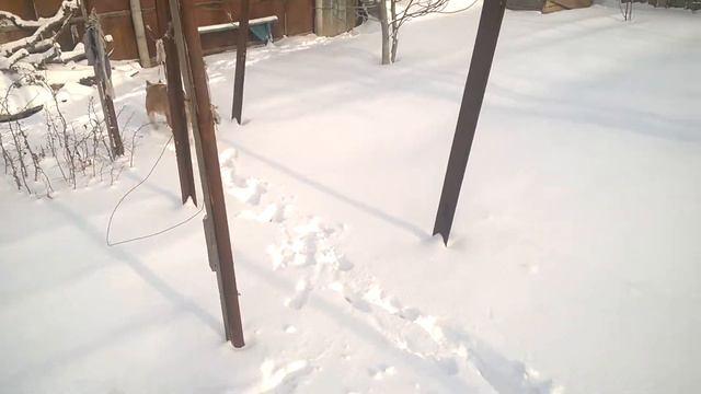 Мой стафф)) смотреть онлайн