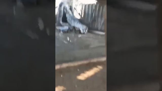 Что это? Это что гигинтская анаконда? смотреть онлайн