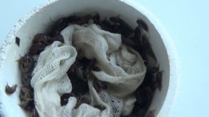 Ловишь на мормыша? Смотри как добывать и хранить.