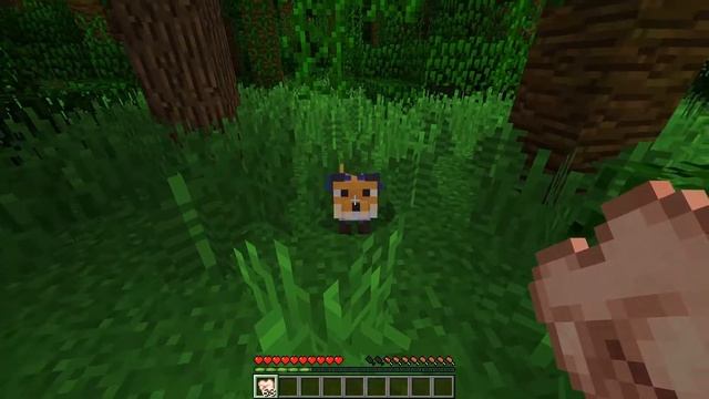 HOW TO TAME A FOX IN MINECRAFT !!! смотреть онлайн