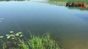 ЛОВЛЯ ОЗЕРНОГО ЛЕЩА И КАРАСЯ НА ПРУДУ.ПОПЛАВОЧНЫЕ ПОИСКИ РЫБЫ ,,,