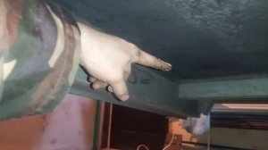 Усиление каркаса прицепа МЗСА