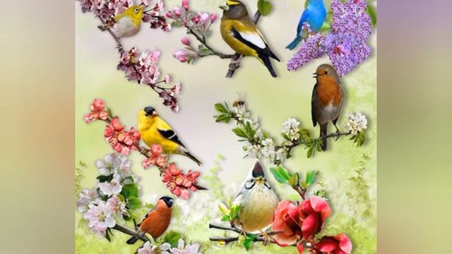 3 мая 2023 г. смотреть онлайн