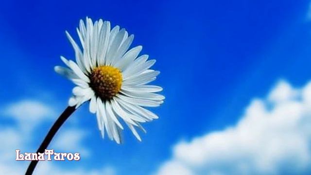 Ангел-хранитель. / Притча/ Уроки жизни от ангелов/ Прислушивайтесь к своему ангелу смотреть онлайн