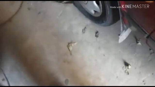 Как снять лекало с порога автомобиля (Как замерить порог автомобиля) смотреть онлайн