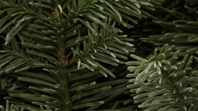 Готовимся к Новому Году Мои покупки из Фикс прайс. смотреть онлайн