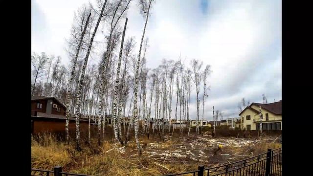 Спил, удаление деревьев, утилизация порубочных остатков от команды Лесовод смотреть онлайн