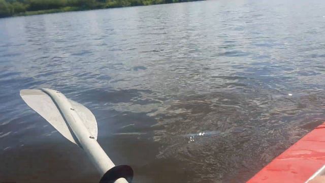 День 7/9 (28.07.23, 14:19), часть 2/6, плывём к д. Паричи. смотреть онлайн