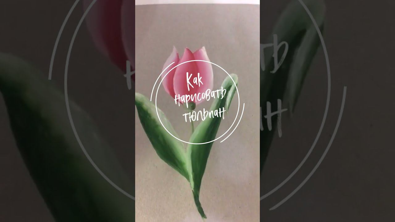Как нарисовать тюльпан гуашью. Уроки рисования. Как нарисовать пошагово. смотреть онлайн