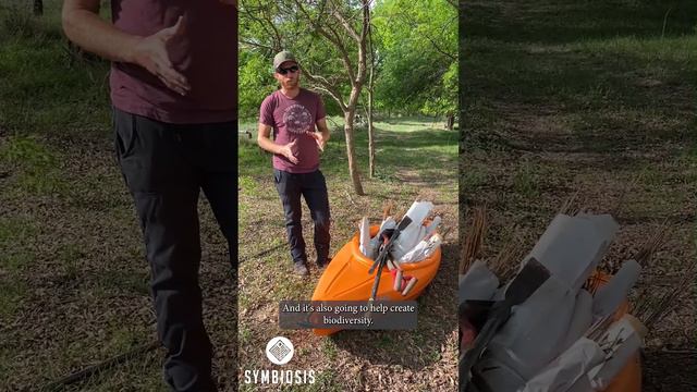 Help Rivers & Streams THRIVE: Learn About Biodiversity Tree Planting in Riparian Areas смотреть онлайн