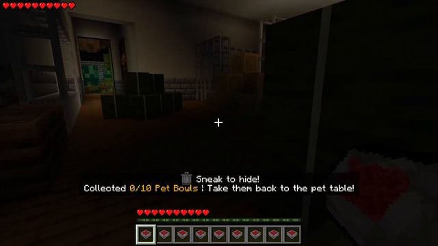 Rainbow Pet Friends MAP in Minecraft PE смотреть онлайн