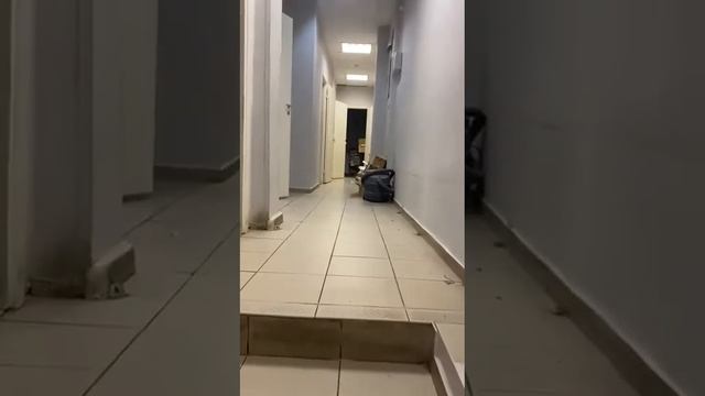 Помещение свободного назначения. 193 м.кв. 150000₽/мес. Спб, Малоохтинский проспект 84 смотреть онлайн