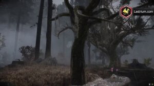 Не во что поиграть? ТОП 5 сборок на Skyrim!