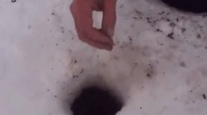 Ловля подуста.  Зимняя рыбалка