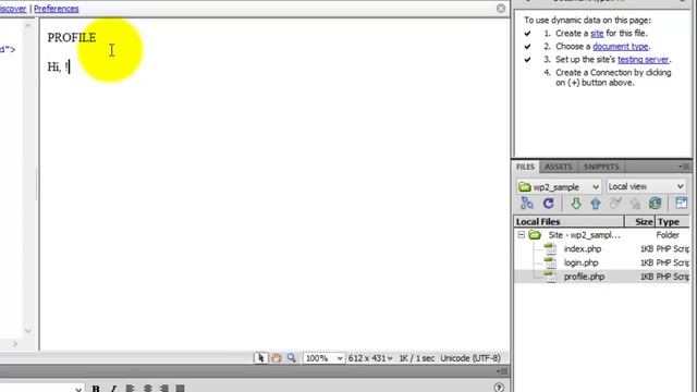 DW CS 5.5 User Authentication смотреть онлайн